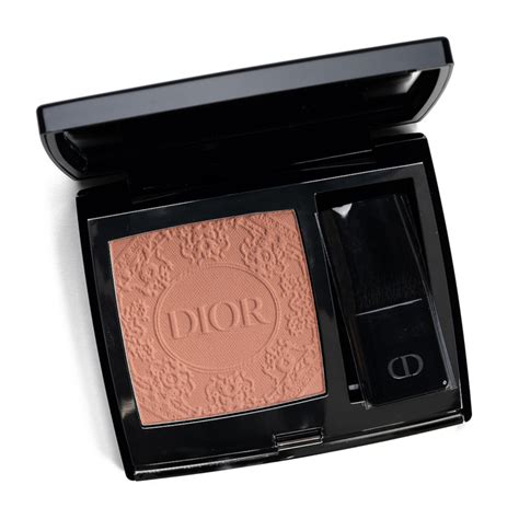 dior rouge blush 47|dior precious rose blush.